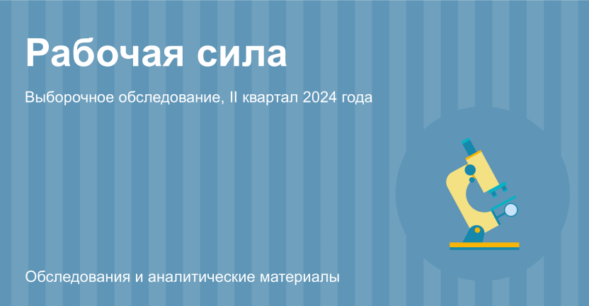 Рабочая сила во II квартале 2024 года